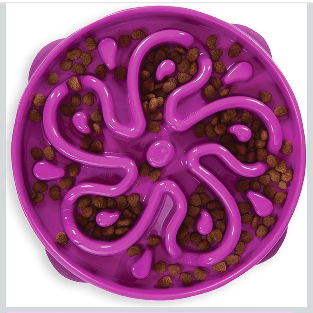 Purple Swirl Slow Feeder Bowl